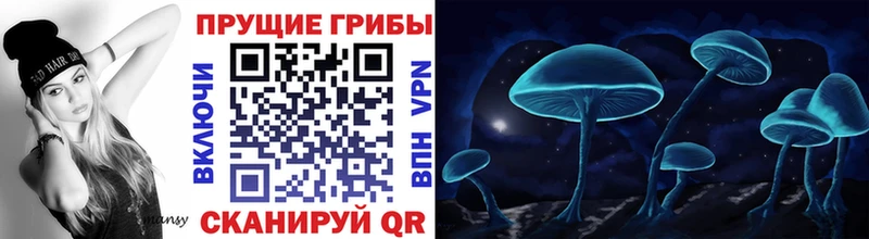 mega ТОР сайты даркнета наркотические препараты Галлюциногенные грибы ЛСД Омск